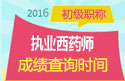 2023年山东执业西药师职称考试成绩查询