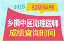 2023年浙江乡镇中医执业助理医师职称考试成绩查询