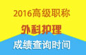 2023年浙江医学高级职称（外科护理）成绩查询时间