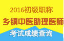 2023年上海乡镇中医执业助理医师职称考试成绩查询