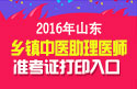2023年山东乡镇中医执业助理医师职称考试准考证打印
