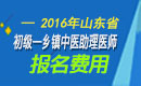 2023年山东乡镇中医执业助理医师考试报名费用