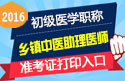2023年河南乡镇中医执业助理医师职称考试准考证打印