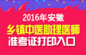 2023年安徽乡镇中医执业助理医师职称考试准考证打印