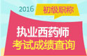 2023年上海执业西药师职称考试成绩查询