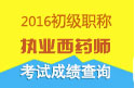 2023年四川执业西药师职称考试成绩查询