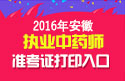 2023年安徽执业中药师职称考试准考证打印