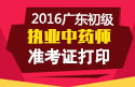 2023年广东执业中药师职称考试准考证打印