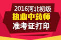 2023年河北执业中药师职称考试准考证打印
