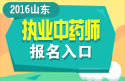 2023年山东执业中药师职称考试报名入口