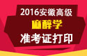 2023年安徽医学高级职称（麻醉学）准考证打印