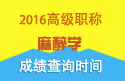 2023年安徽医学高级职称（麻醉学）成绩查询时间
