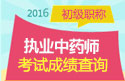 2023年上海执业中药师职称考试成绩查询