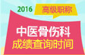 2023年河南省医学高级职称（中医骨伤科）成绩查询时间