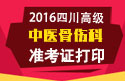 2023年四川医学高级职称（中医骨伤科）准考证打印