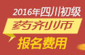 2023年四川药剂师职称考试报名费用