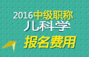 2023年安徽儿科主治医师职称考试报名费用