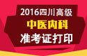 2023年四川医学高级职称（中医内科）准考证打印
