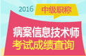 2023年河南病案信息技术（师）考试成绩查询