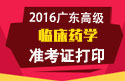 2023年广东医学高级职称（临床药学）准考证打印