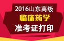 2023年山东医学高级职称（临床药学）准考证打印