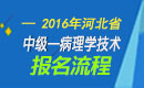 2023年河北病理学技术中级职称考试报名流程