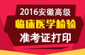 2023年安徽医学高级职称（临床医学检验）准考证打印
